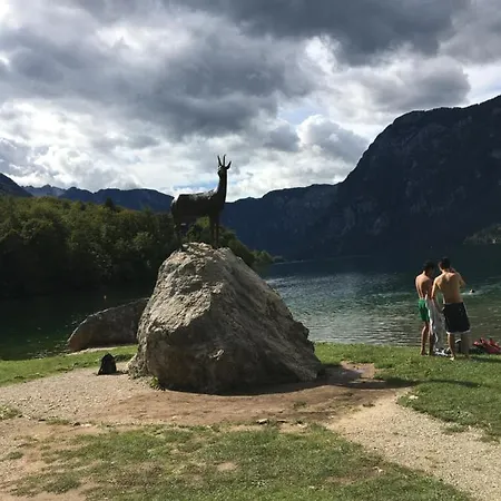 The 1882 Old House Vodnikova * ボーヒニ