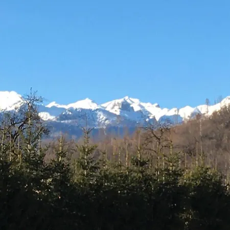 The 1882 Old House Vodnikova Bohinj