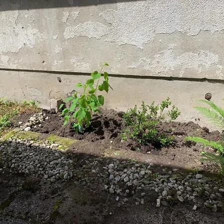 The 1882 Old House Vodnikova Prázdninový dům Bohinj