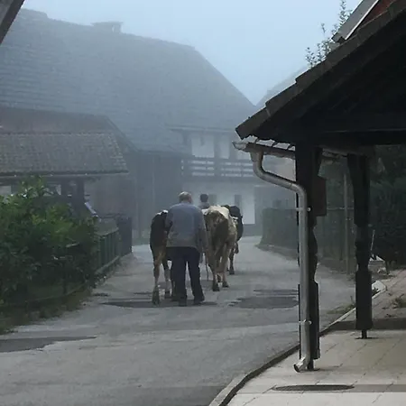 The 1882 Old House Vodnikova *
