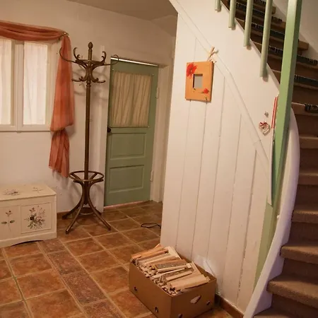 The 1882 Old House Vodnikova 別荘