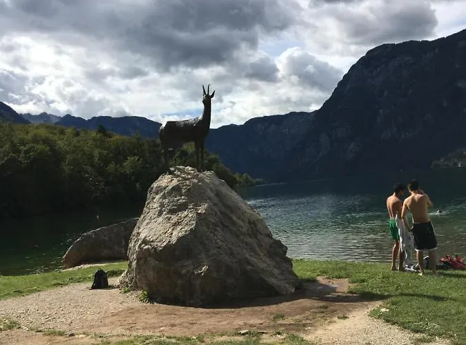 The 1882 Old House Vodnikova * Bohinj