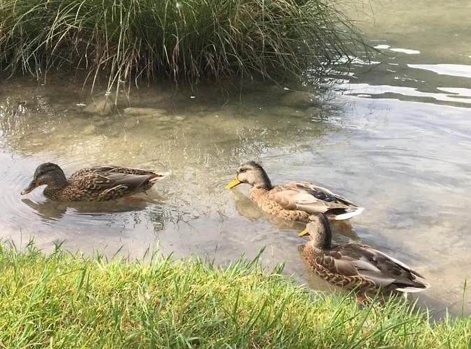 The 1882 Old House Vodnikova Prázdninový dům *