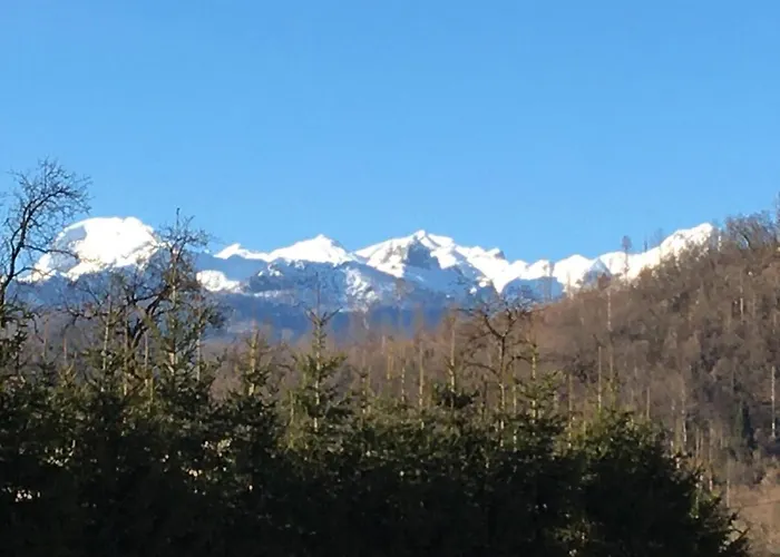 The 1882 Old House Vodnikova Bohinj