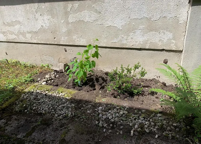The 1882 Old House Vodnikova Prázdninový dům Bohinj