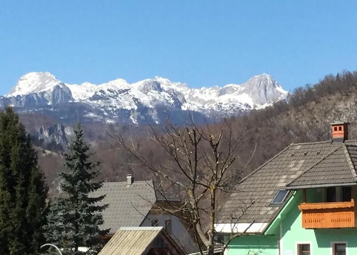 The 1882 Old House Vodnikova Bohinj