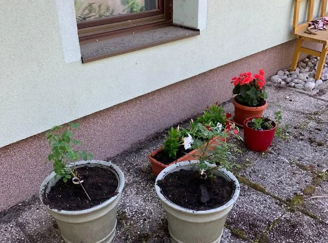 The 1882 Old House Vodnikova