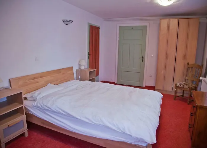 The 1882 Old House Vodnikova Ferienhaus